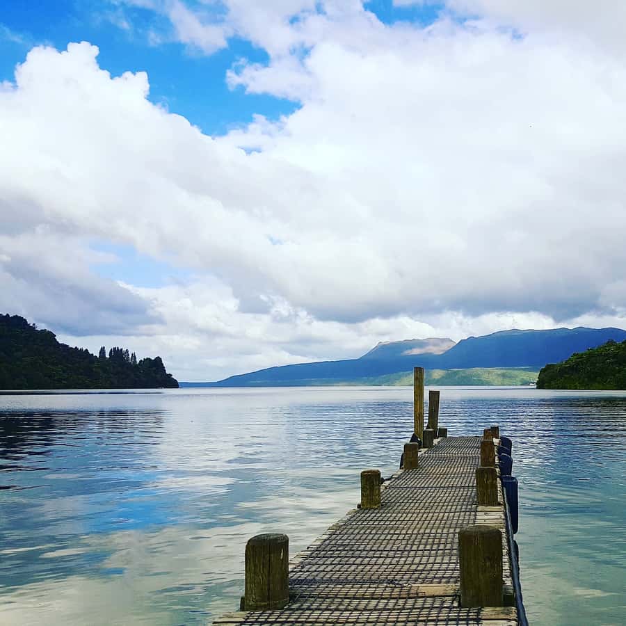 Tarawera and Lakes 2-Hour Duck Eco Tour - Viewing the sacred Green Lake