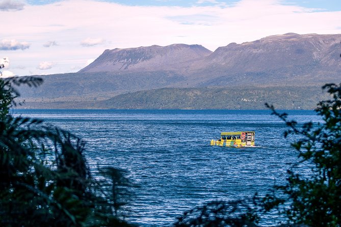 Tarawera and Rotorua Lakes Eco Tour by Boat with Guide - Why the WWII Duck Boat Changes the Experience