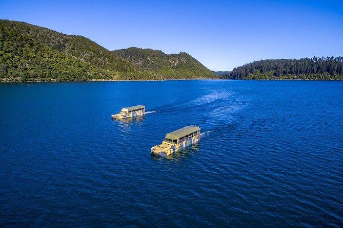 Tarawera and Rotorua Lakes Eco Tour by Boat with Guide - Blue Lake Brings the Best Photo Stop