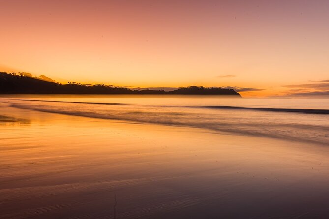 Taste of Waiheke Food and Wine Tour - What the seven-hour schedule feels like