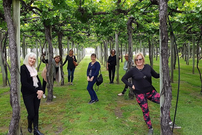 Taste the Valley Wine Tour in Marlborough with Wine Tasting - The guide can shape the whole experience