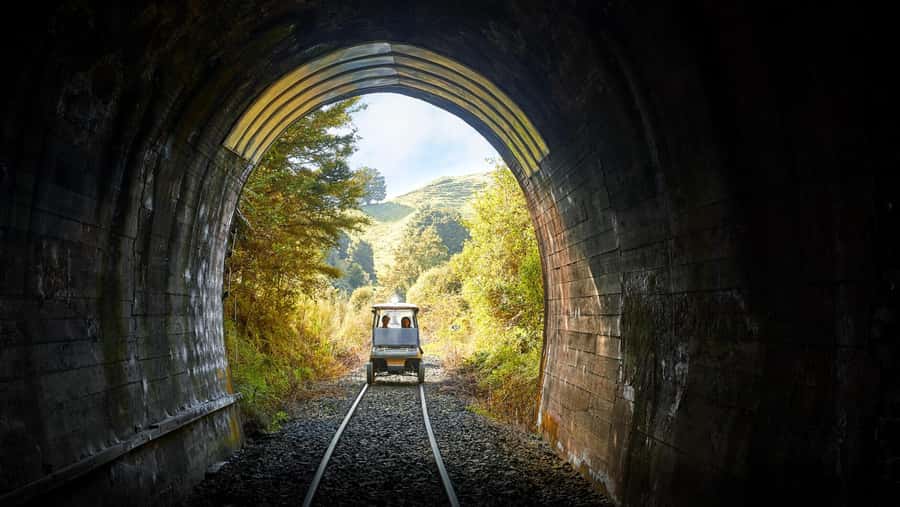 Taumarunui: Forgotten World Rail Cart Tour with Lunch - Key points at a glance