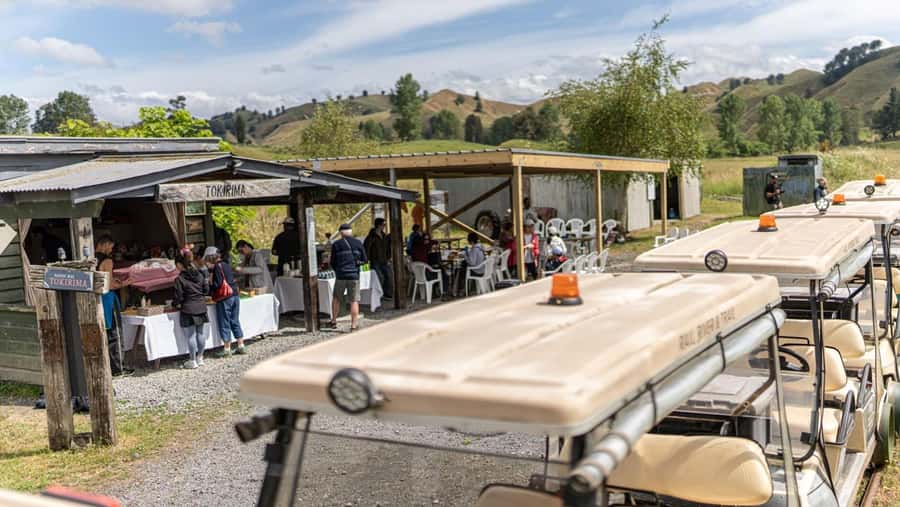 Taumarunui: Forgotten World Rail Cart Tour with Lunch - Why this old railway makes a memorable outing