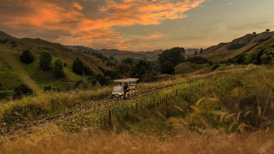 Taumarunui: Forgotten World Rail Cart Tour with Lunch - Riding 40 kilometers through farms and native bush
