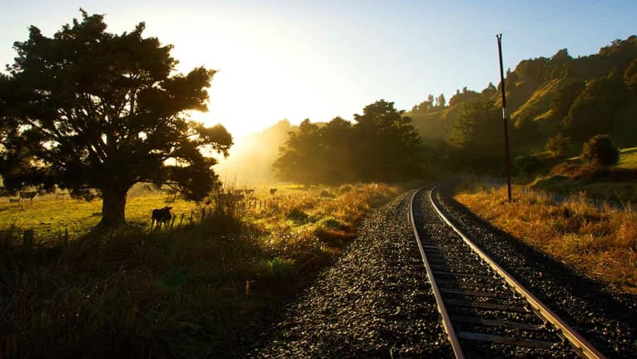 Taumarunui: Forgotten World Rail Cart Tour with Lunch - Checking in at Taumarunui and reaching Okahukura