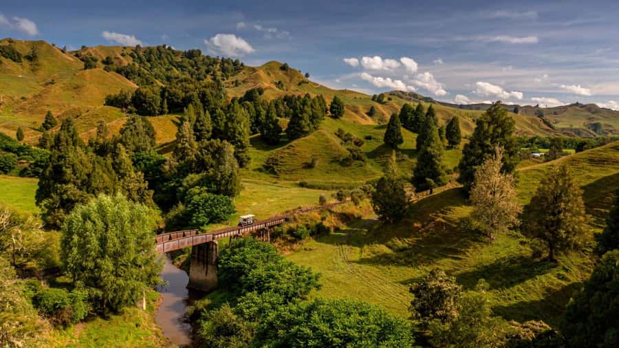 Taumarunui: Railcart and Jetboat Adventure with lunch - Why This Taumarunui Combination Works