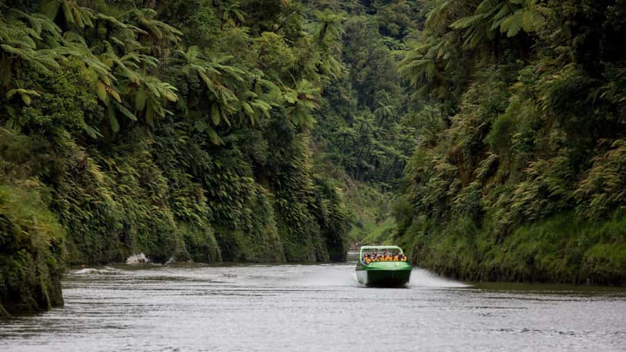 Taumarunui: Railcart and Jetboat Adventure with lunch - Starting at the Forgotten World Motel
