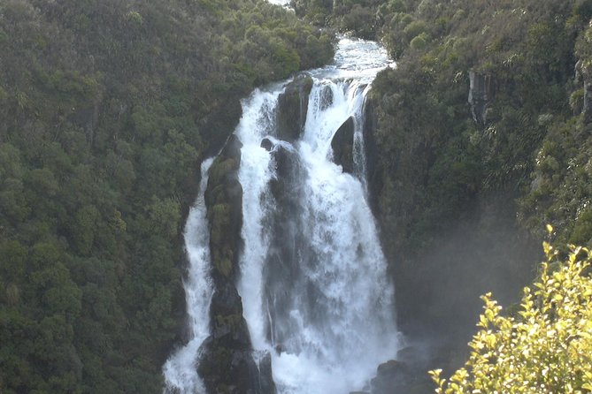 Taupo Day Trip with Orakei Korako or Waiotapu from Rotorua - Wai-O-Tapu: color, steam, and easy walking