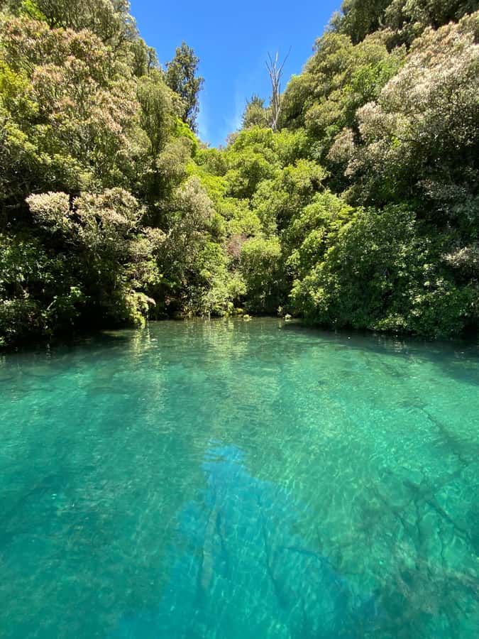 Taupo: Lake Taupo Western Bays Catamaran Tour with Bush Walk - Rocky cliffs and waterfalls along the Western Bays