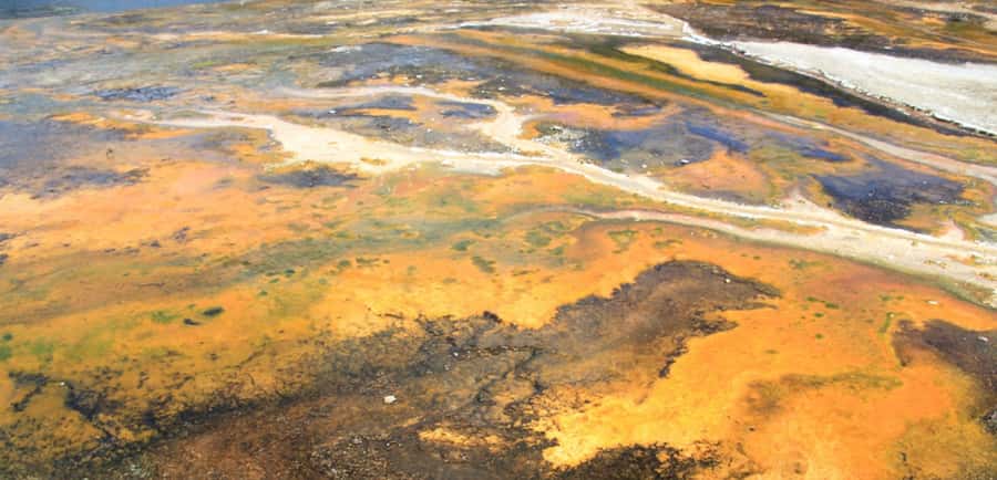 Taupo: Orakei Korako Geothermal Park and Cave Entry Ticket - Is the walk suitable for families?
