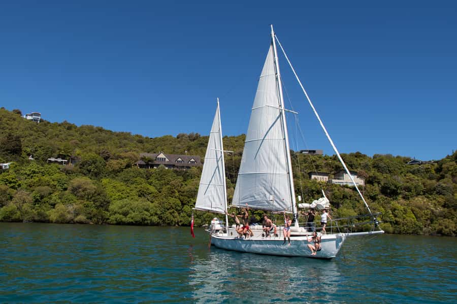 Taupō: Sail Barbary Eco Sailing to the Maori Rock Carvings - Weather, wind, and the backup plan
