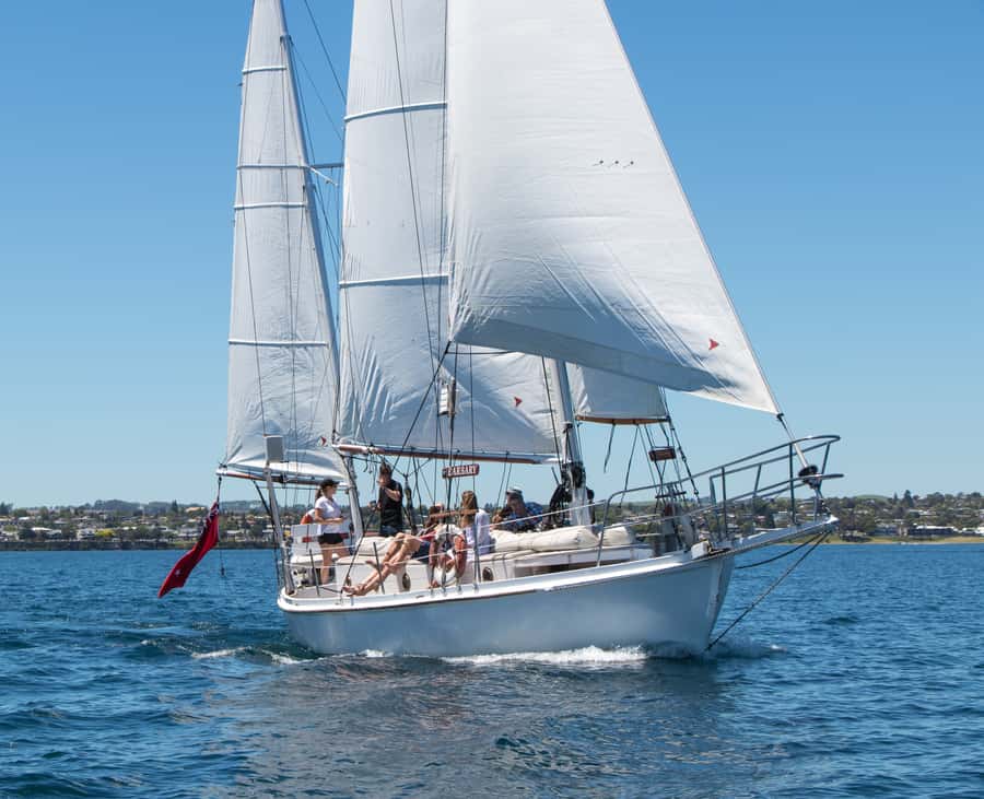 Taupō: Sail Barbary Eco Sailing to the Maori Rock Carvings - Who will enjoy Sail Barbary most?