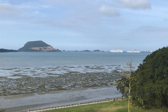 Tauranga City & History Scenic Tour – 2 Hours - Russell makes the difference