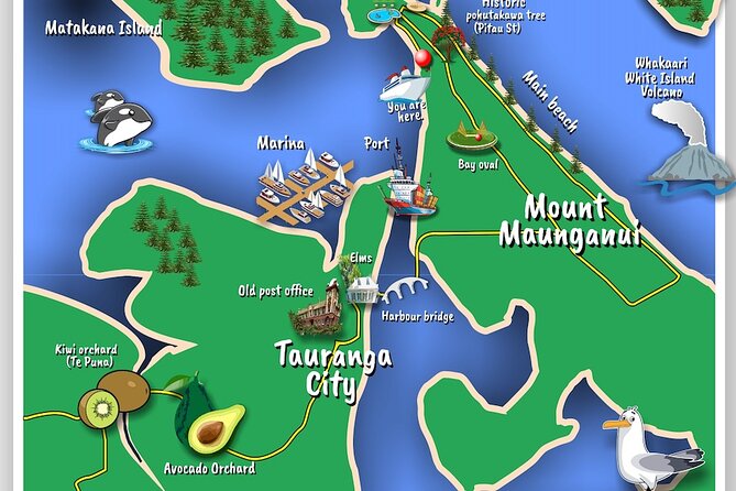 TAURANGA City & Scenic Sightseeing 2-hour Local Bus Tour - The five things I would want to know first