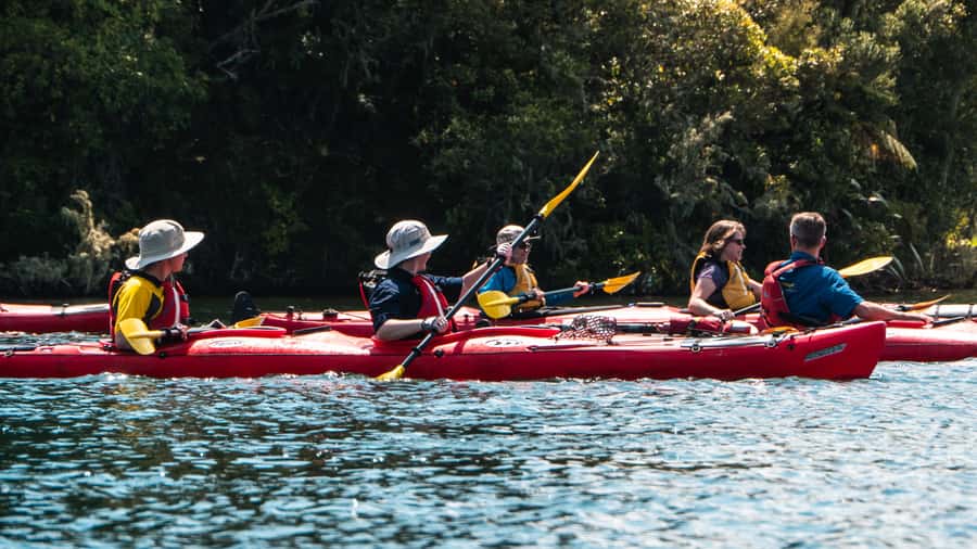 Tauranga: Daytime Scenic Lake McLaren Kayak Tour - Getting comfortable in the kayak