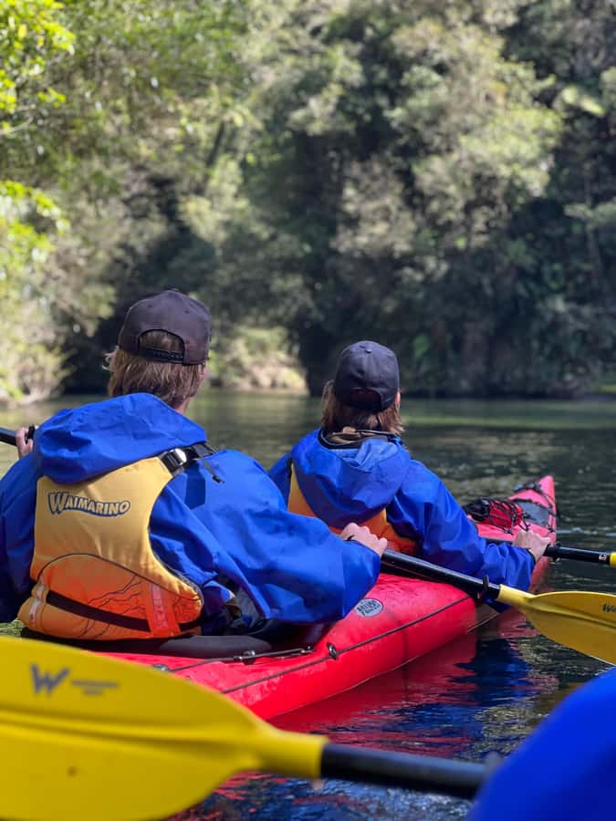 Tauranga: Daytime Scenic Lake McLaren Kayak Tour - What the guide adds to the scenery