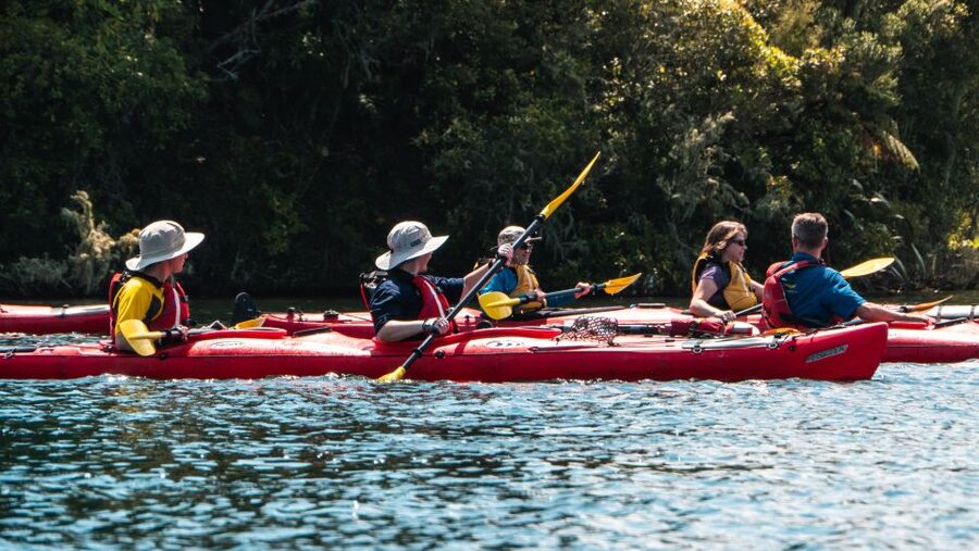 Tauranga: Daytime Scenic Lake McLaren Kayak Tour - Is $104 a fair price?