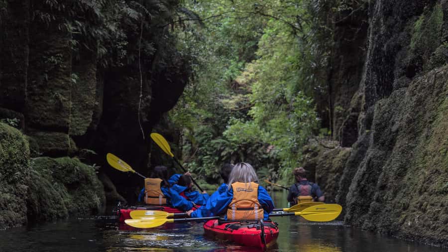 Tauranga: Daytime Scenic Lake McLaren Kayak Tour - Meeting at Bethlehem and reaching the launch site