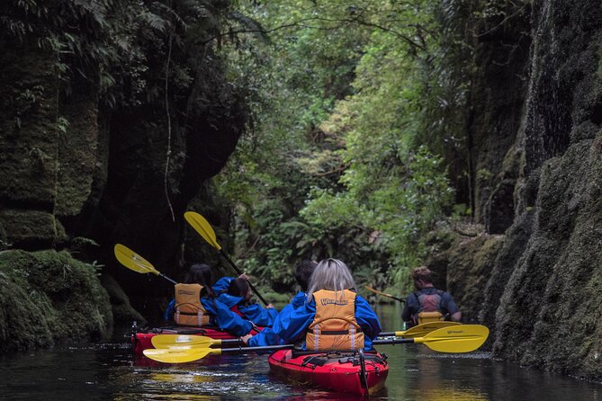 Tauranga Daytime Scenic Lake McLaren Tour - Key points to know before you book