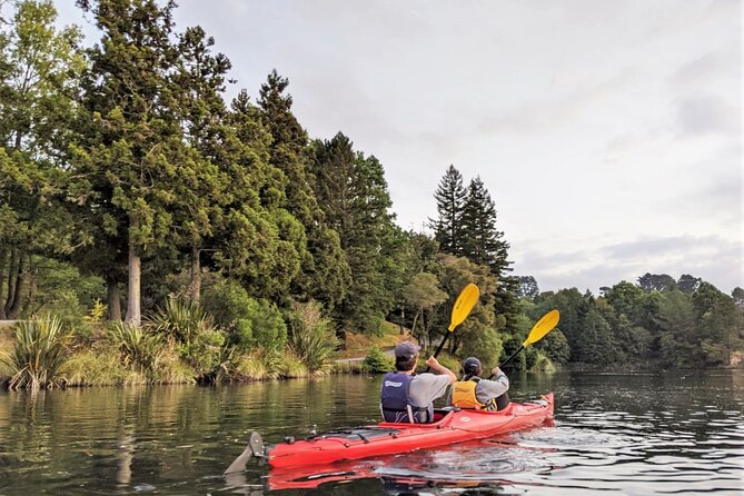 Tauranga Daytime Scenic Lake McLaren Tour - The paddle along Lake McLaren