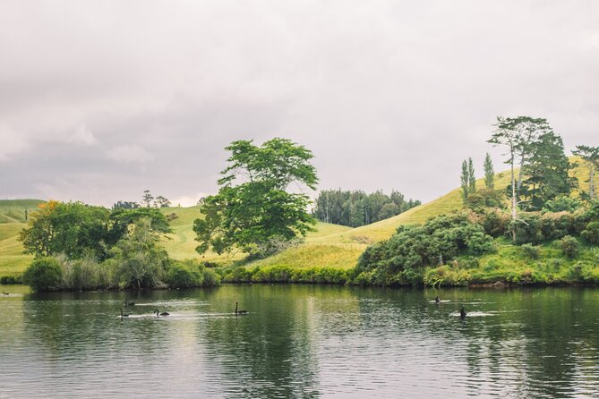 Tauranga Daytime Scenic Lake McLaren Tour - Mangapapa Canyon is the highlight