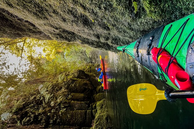 Tauranga Daytime Scenic Lake McLaren Tour - Is $108.60 good value?