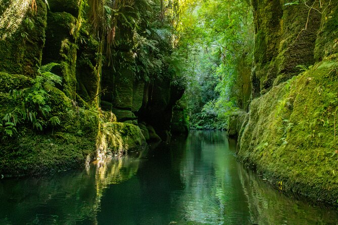 Tauranga Daytime Scenic Lake McLaren Tour - Kayak or canoe: the detail that can change your day