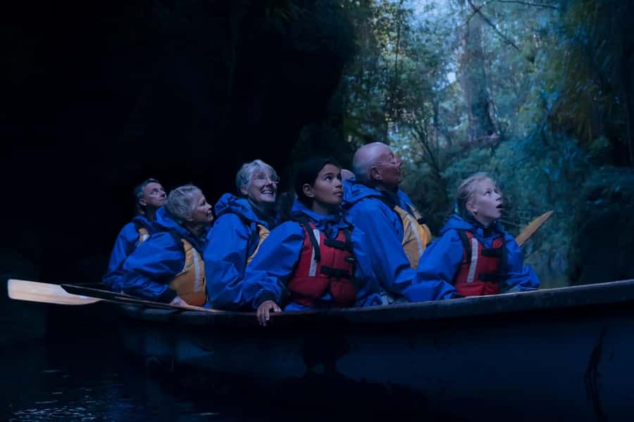 Tauranga: Evening Big Kanu Glowworm Tour - Key points to know before you go