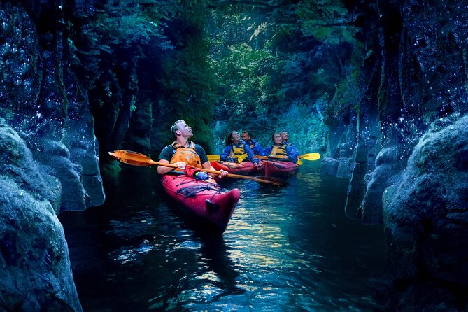 Tauranga: Evening Glowworm Kayak Tour - From Tauranga to Lake McLaren before sunset