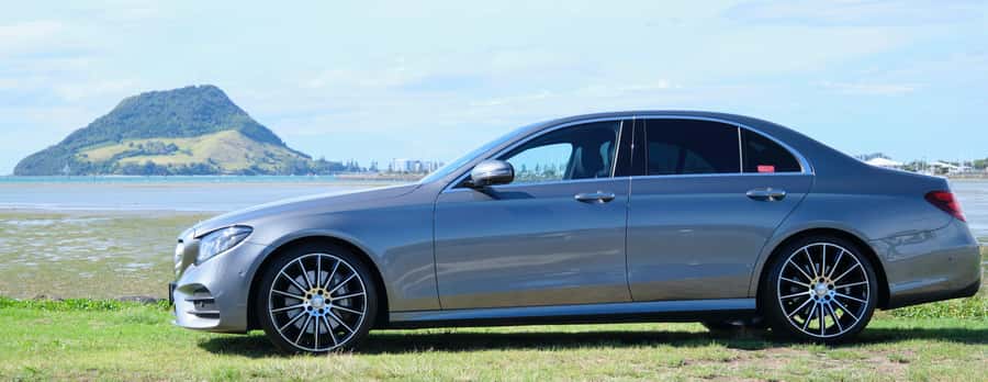 Tauranga: Kiwifruit Destination and Sights Shore Excursion - Why this Tauranga shore tour feels different