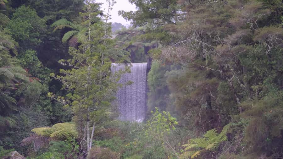 Tauranga: Kiwifruit Destination and Sights Shore Excursion - Starting at the Port of Tauranga and crossing Mount Maunganui