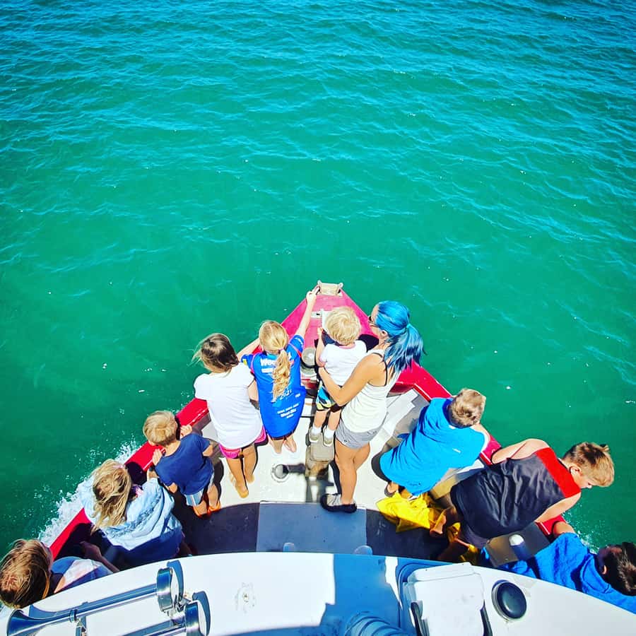 Tauranga: Mount Maunganui Harbour Sightseeing Cruise - Key points to know before you go