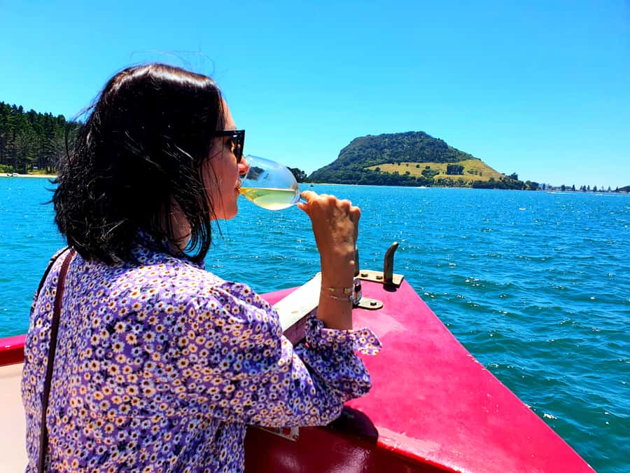 Tauranga: Mount Maunganui Harbour Sightseeing Cruise - A close look at Tauranga’s working port