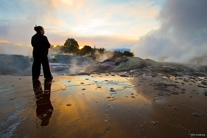 Tauranga Private Excursion: Rotorua -Te Puia-Geysers & Kiwi's - Te Puia: three hours of geysers, art, and Māori traditions