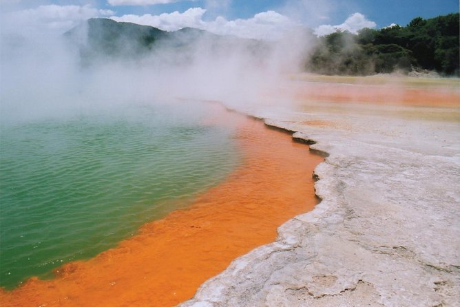 Tauranga Private Shore Excursion: Wai-O-Tapu Thermal Wonderland - The five details that matter most
