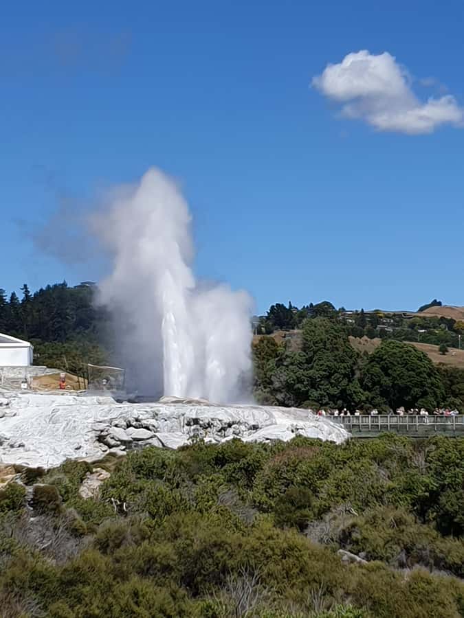 Tauranga: Rotorua Redwoods Tour & Maori Village Experience - Mount Maunganui and the kiwifruit stop