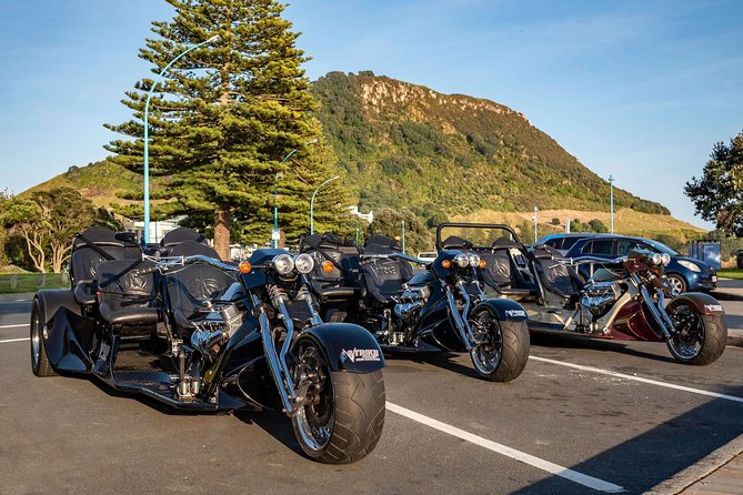 TAURANGA SHORE EXCURSION: Epic 25 min V8 Trike tour of Mt Maunganui & Tauranga - The 600-year-old giant pōhutukawa