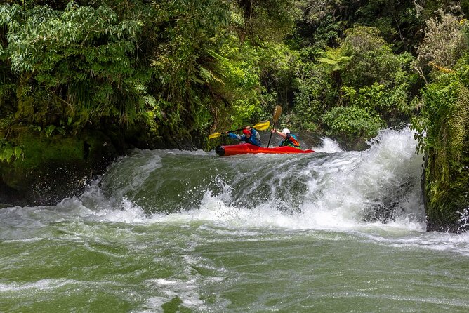 Tauranga Shore Excursion: Rotorua Highlights - Key points at a glance