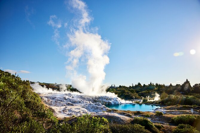Tauranga Shore Excursion: Rotorua Highlights - Whakarewarewa: where geothermal life continues