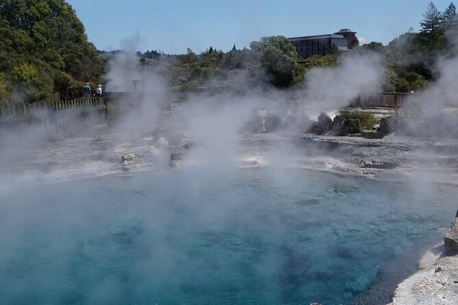 Tauranga Shore Excursion: Rotorua Highlights - A quick look at Whakarewarewa Forest