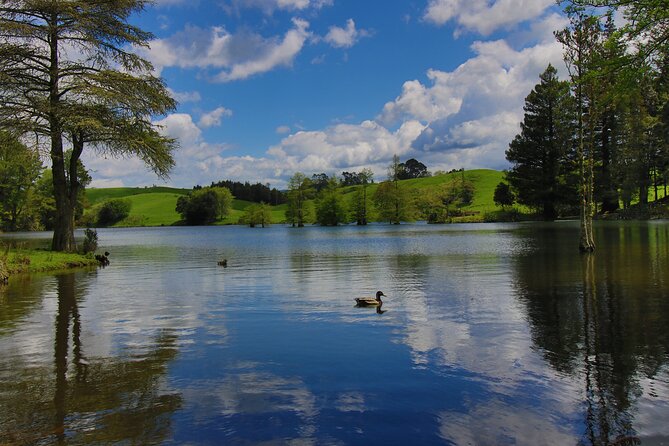 Tauranga Shore Excursion: Top Half Day Curated Highlights Tour - Quick reasons to consider this Tauranga tour