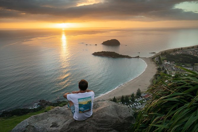 Tauranga Shore Excursion: Top Half Day Curated Highlights Tour - What the half-day schedule feels like