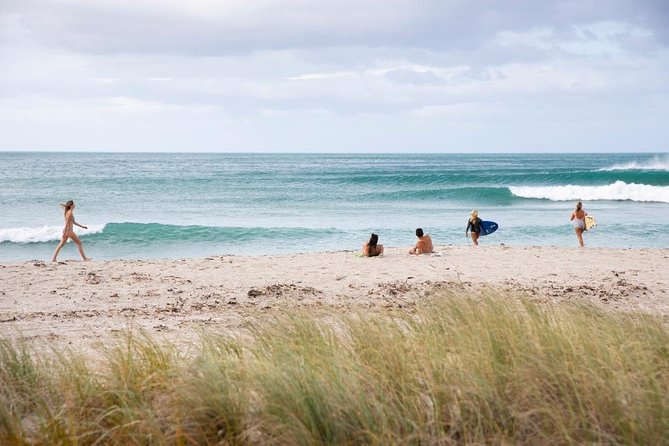 Tauranga Shore Excursion: Top Half Day Curated Highlights Tour - Te Puna reveals Tauranga’s orchard country