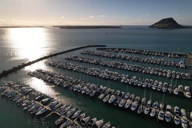 Tauranga Shore Excursion: Top Half Day Curated Highlights Tour - Kiwi fruit and manuka honey make the stop personal