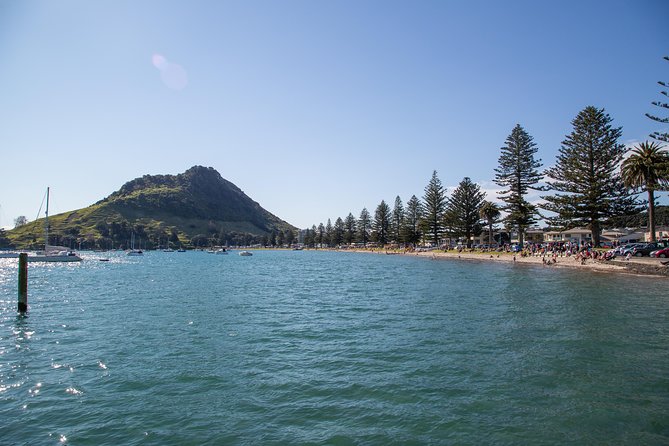 TAURANGA SHORE EXCURSION: V8 TRIKE - 1.5 hour City Sites - Crossing the harbour toward Tauranga