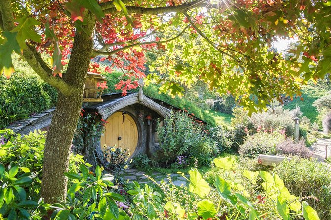 Tauranga to Magical Hobbiton Movie Set - Private Shore Excursion - Key points at a glance