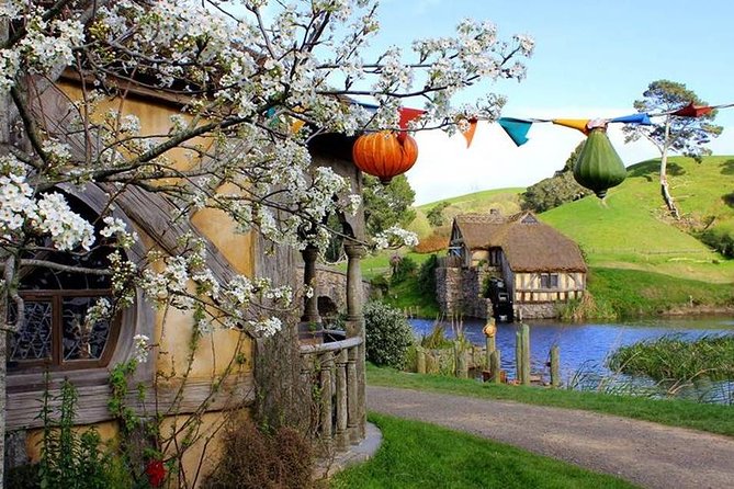 Tauranga to Magical Hobbiton Movie Set - Private Shore Excursion - What makes the guided walk worthwhile