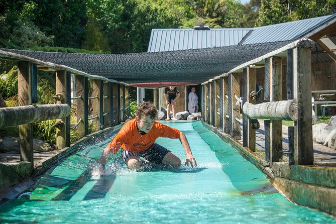 Tauranga: Waimarino Adventure Park - What the Waimarino pass actually gives you