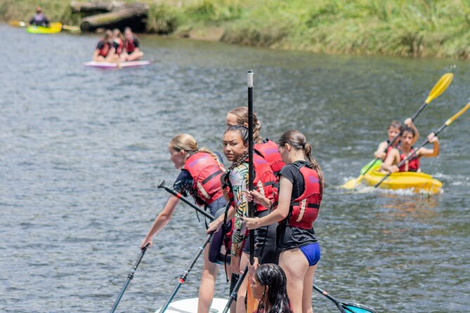 Tauranga: Waimarino Adventure Park - The kayak slide and slip and slide