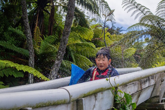 Tauranga: Waimarino Adventure Park - A practical picnic day at the park